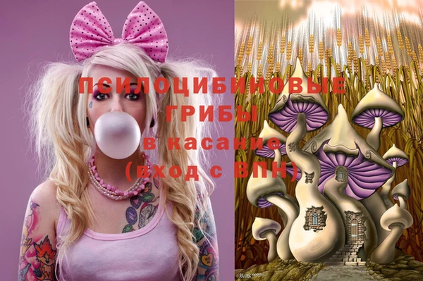 винт Аркадак